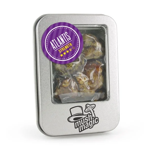 psilocybe-atlantis Atlantis Truffle 15g Mush Magic rare psilocybe cubensis psychedelic