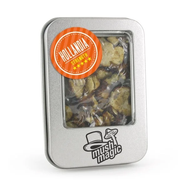 psilocybe-hollandia Hollandia Truffle 15g Mush Magic intense psychedelic journey